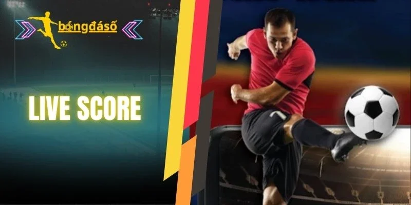 Theo dõi tỷ số bóng đá trực tiếp mỗi ngày