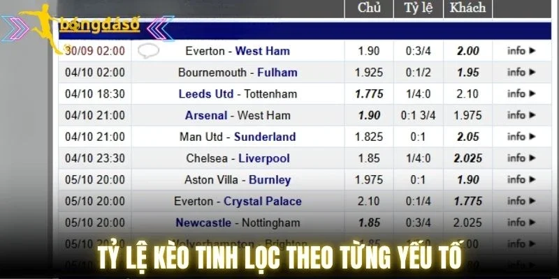 Tỷ lệ kèo tinh lọc theo từng yếu tố